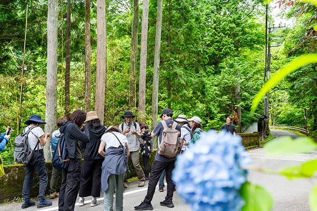 2日間限定開催！「花も、風も、味わう」　2つのあじさい山と里山の贅沢1日旅