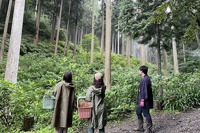 2日間限定開催！「花も、風も、味わう」　2つのあじさい山と里山の贅沢1日旅
